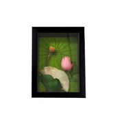 3D Dried Lotus Painting 1