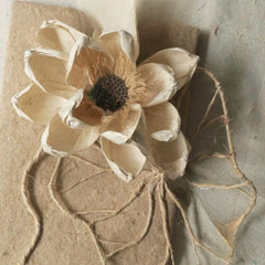 Banana Fiber Paper
