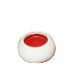 Coconut Lip Balm