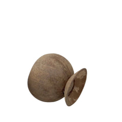 Coconut Shell Cup