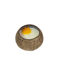 Coconut Shell Scented Candles Without Caps