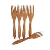 Coconut Wood Fork