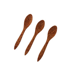 Coconut Wood Ice Cream Scoop