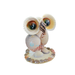 Cute Owl From Seashell