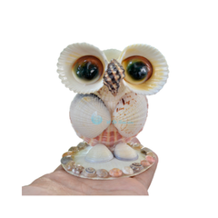 Cute Owl From Seashell