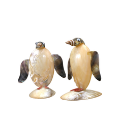 Cute Penguin From Seashell
