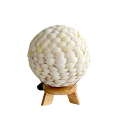 Decorative Lamps Made From Seashells