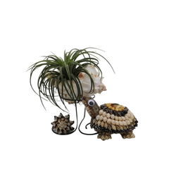 Decorative Turtle Made Of Seashell
