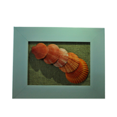 Five Orange Scallop Seashell Painting