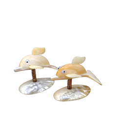 Funny Dolphin From Seashell