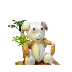 Funny Monkey From Seashell