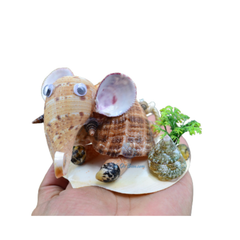 Funny Seashell Elephant