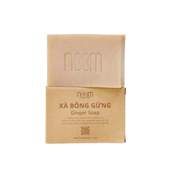 Ginger Soap