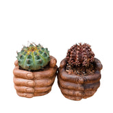 Hand-Shaped Planter