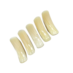 High-Class Seashell Chopstick Rest 1