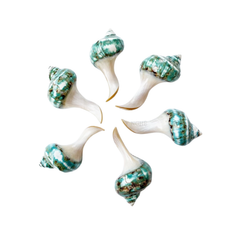 High-Class Seashell Chopstick Rest 4