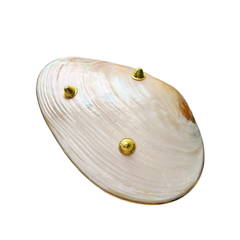 High-End Seashell Plate 3