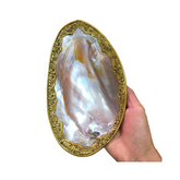 High-End Seashell Plate 4