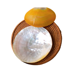 High-End Seashell Plate 6