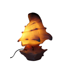 Lamps Made From Seashells 2