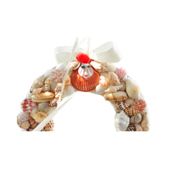 Laurel Wreath Seashell 05