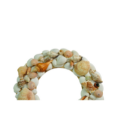 Laurel Wreath Seashell 06