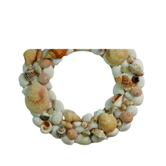Laurel Wreath Seashell 06