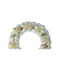 Laurel Wreath Seashell 07