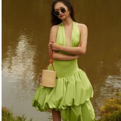 Water Hyacinth Bag Lily