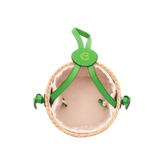 Water Hyacinth Bag Lily