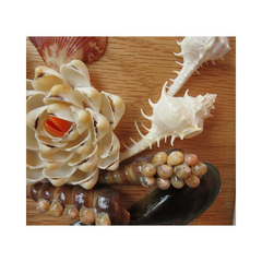 Luxury Seashell Flower Painting