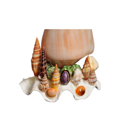 Mushroom Night Light From Seashell