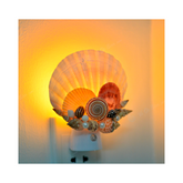 Night Light From Seashell