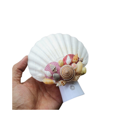 Night Light From Seashell