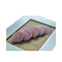 Painting Of Five Scallop Seashell