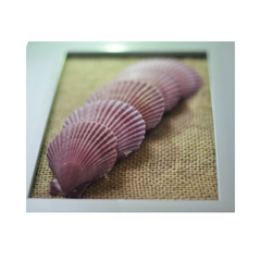 Painting Of Five Scallop Seashell