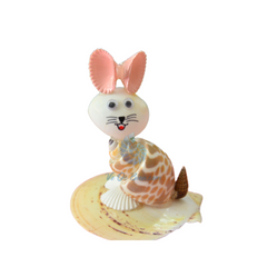 Pink Ear Cat From Seashell