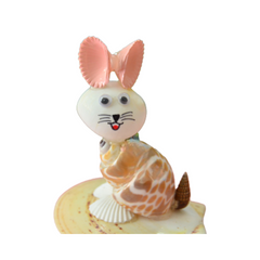 Pink Ear Cat From Seashell
