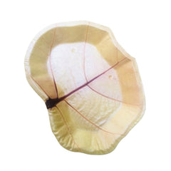 Sea Grape Leaf Plate