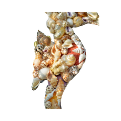 Seahorse Painting From Seashell