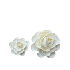 Seashell Flower