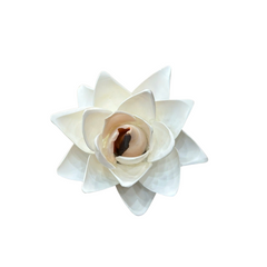 Seashell Flower