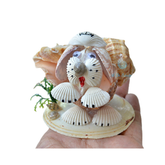 Seashell Navy Dog