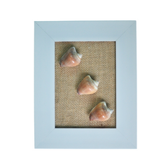 Seashell Painting