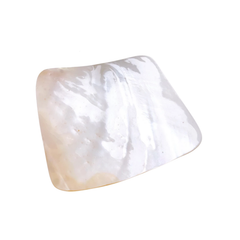 Seashell Plate And Spoon 2