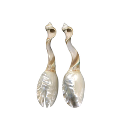Seashell Spoon 11