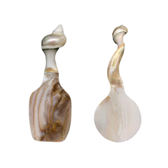 Seashell Spoon 12