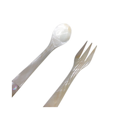 Seashell Spoon 13