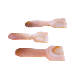 Seashell Spoon 15