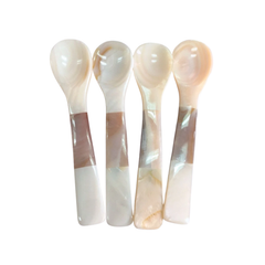 Seashell Spoon 16